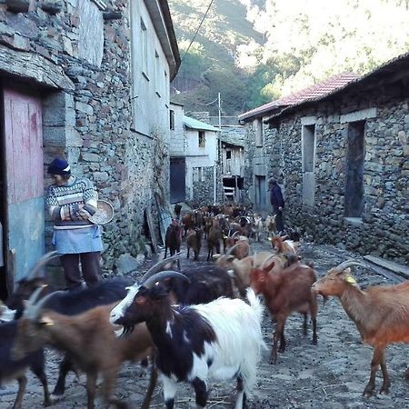 Covas do Monte Casa Bernaldo 아파트 외부 사진