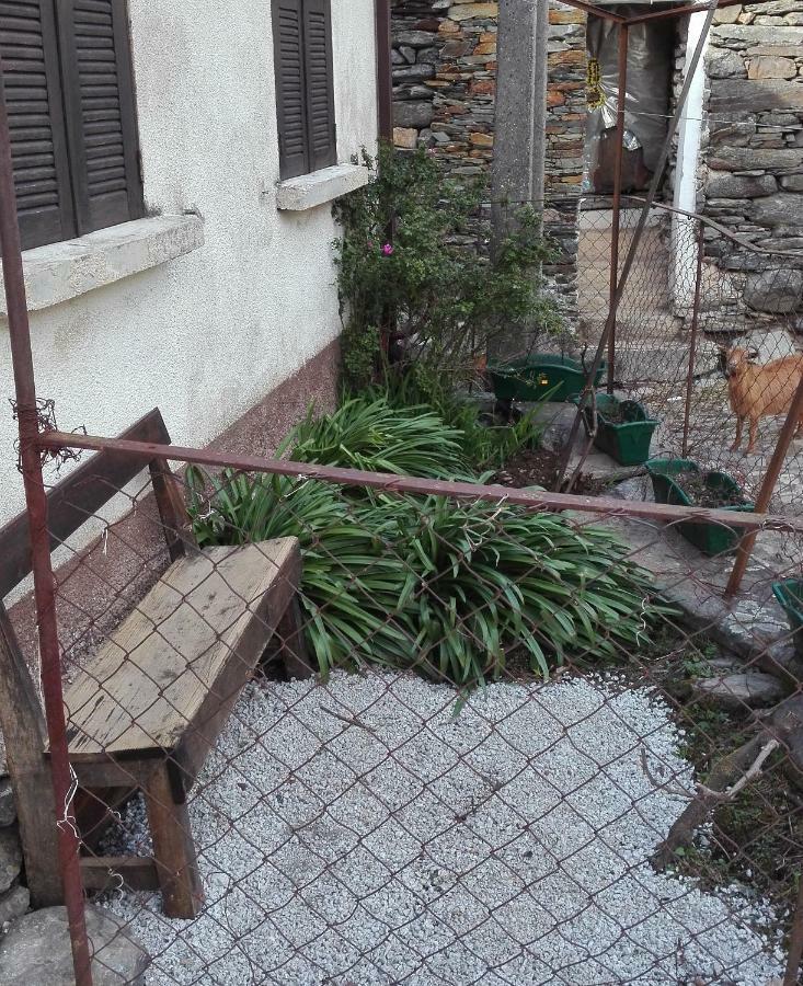 Covas do Monte Casa Bernaldo 아파트 외부 사진